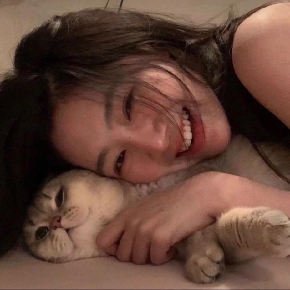 坚果是只猫🐱
