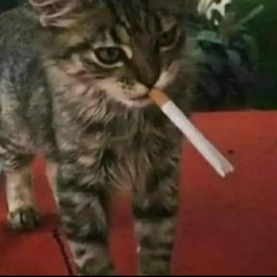 致廷
