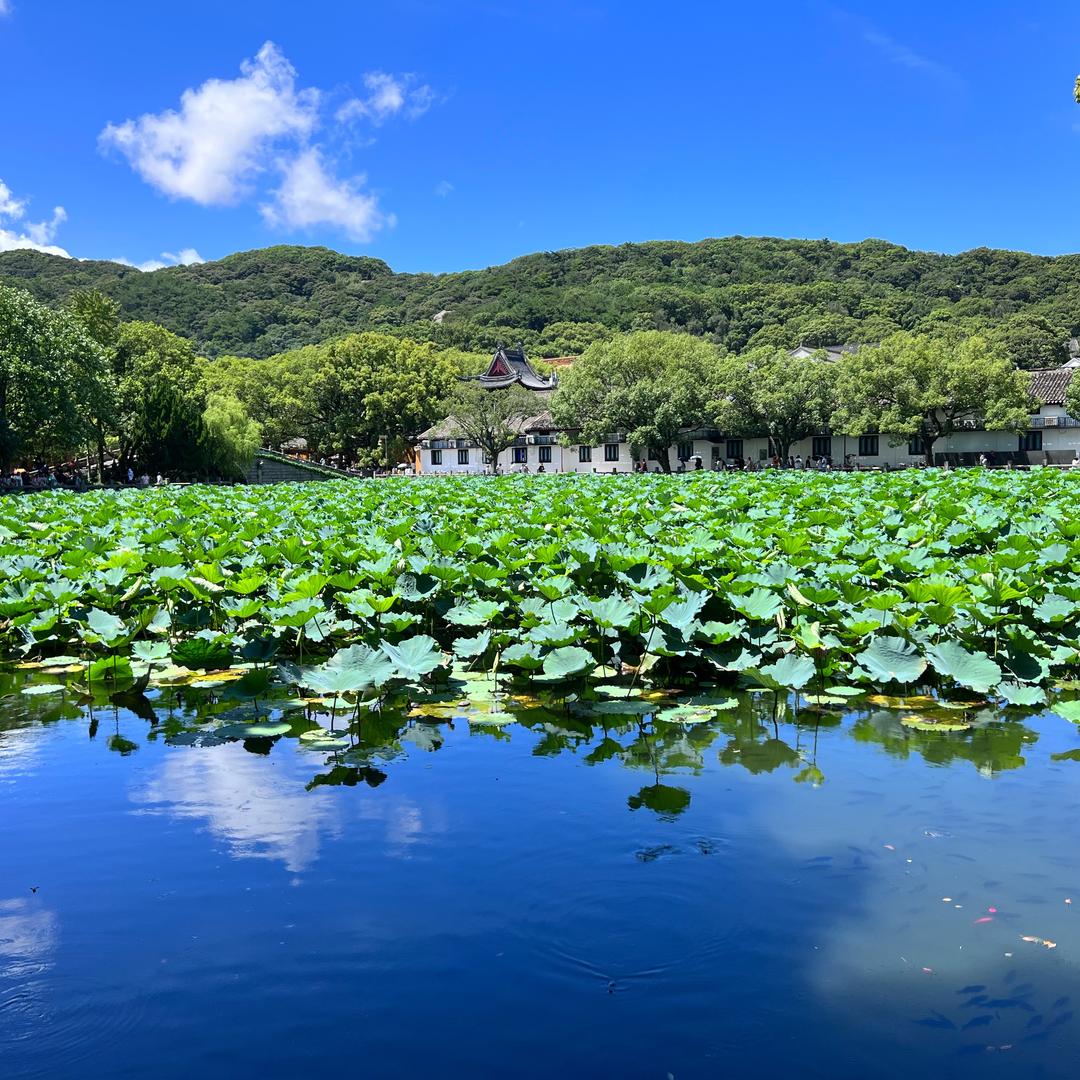 糯米糯
