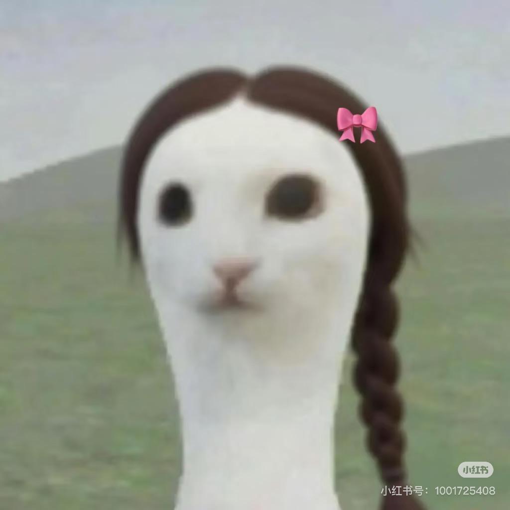 果敢的小青菜