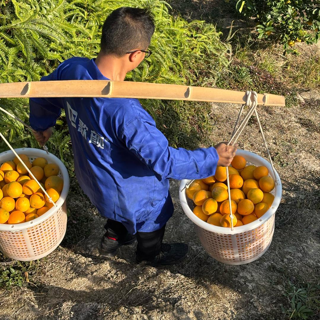 正味赣南鲜果