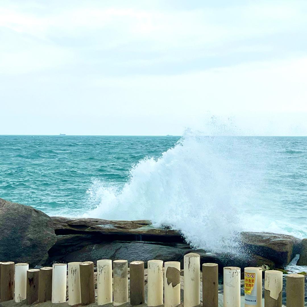 三只松鼠小桂鱼