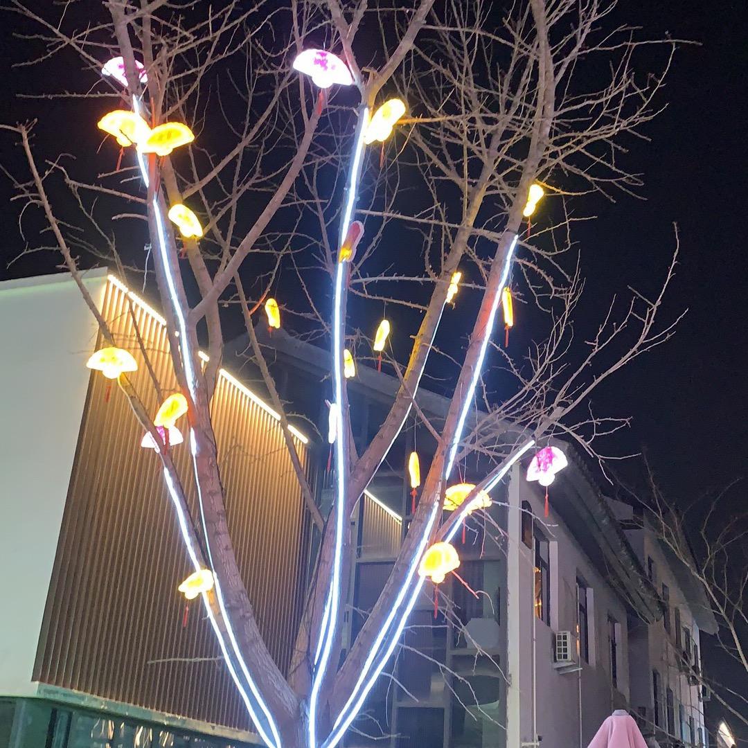 梅，寒梅映艳