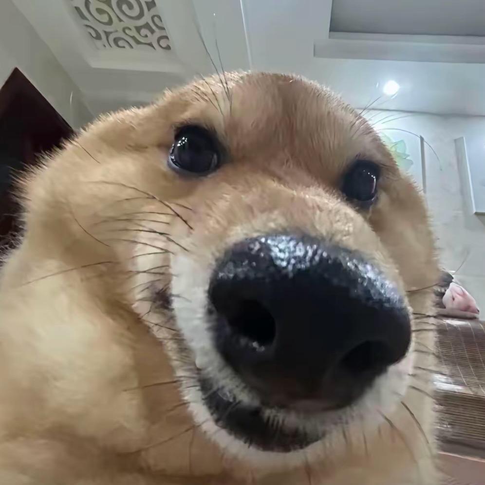 麻绳犁工大学毕业生