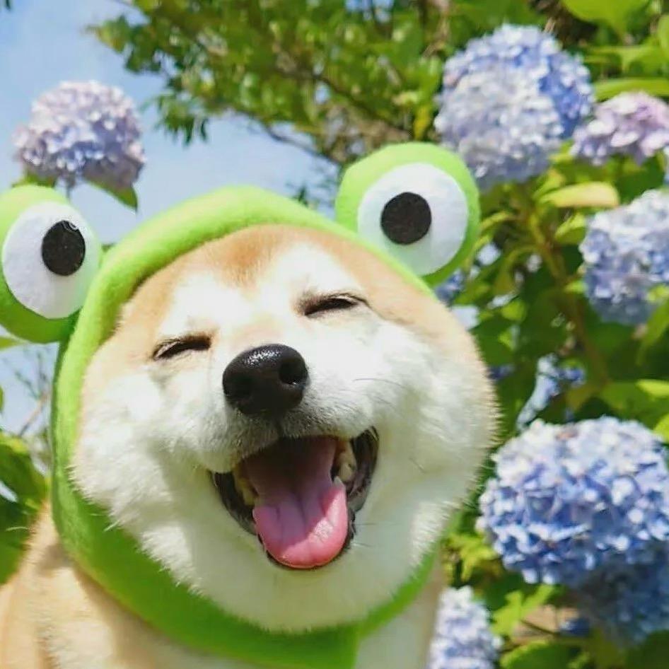 及时ଇໍ邢ଘ乐🍒