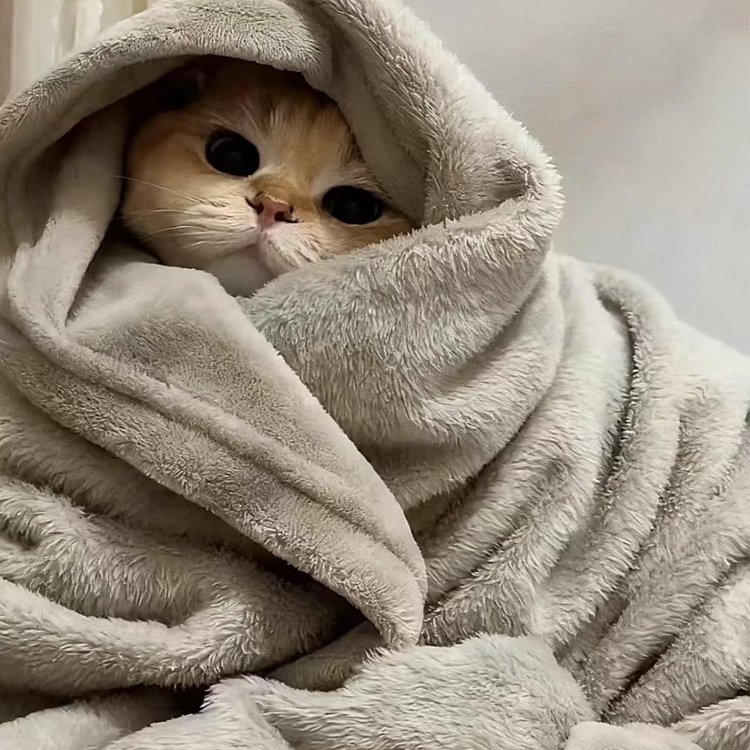 我还有事儿先睡了💤