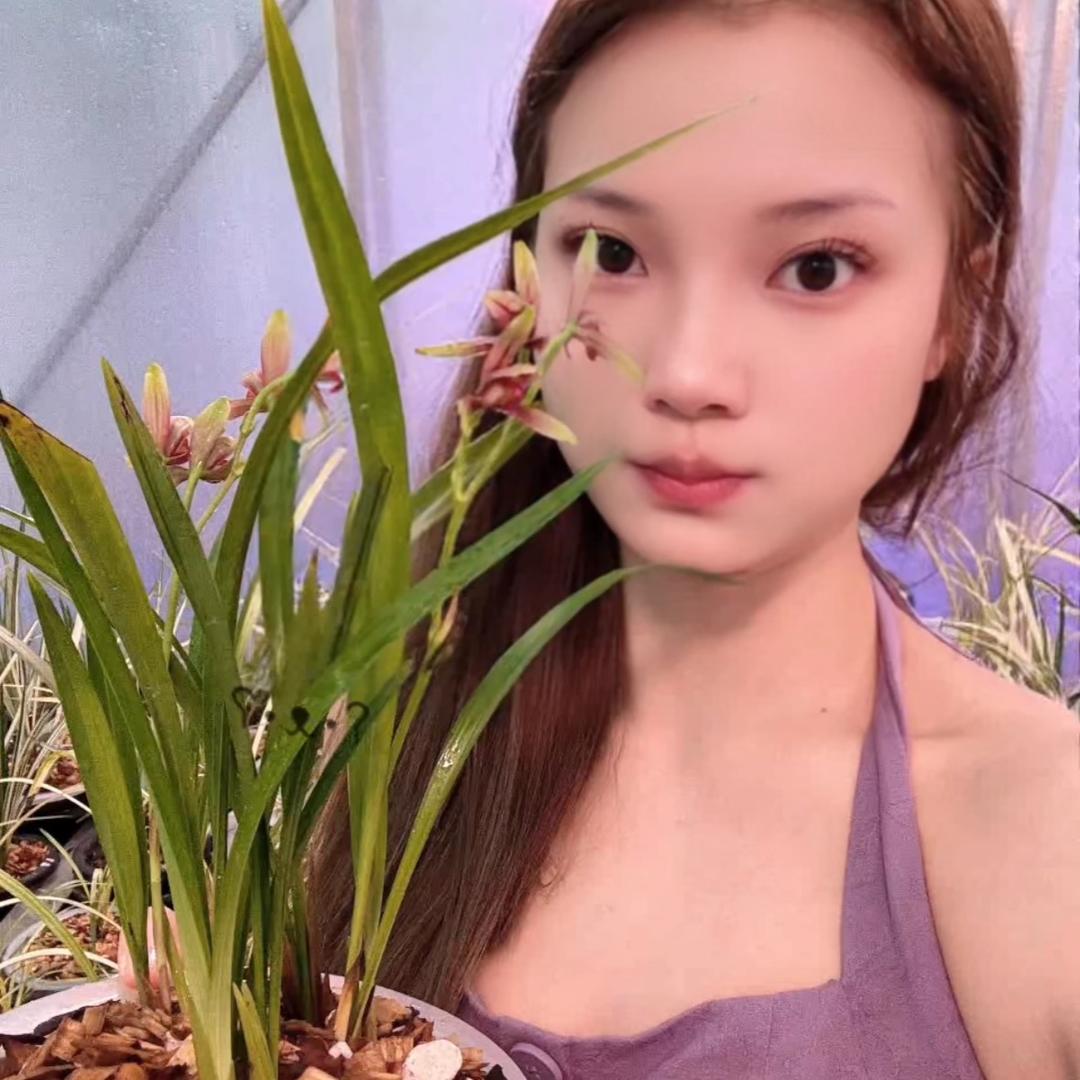 怡心兰苑