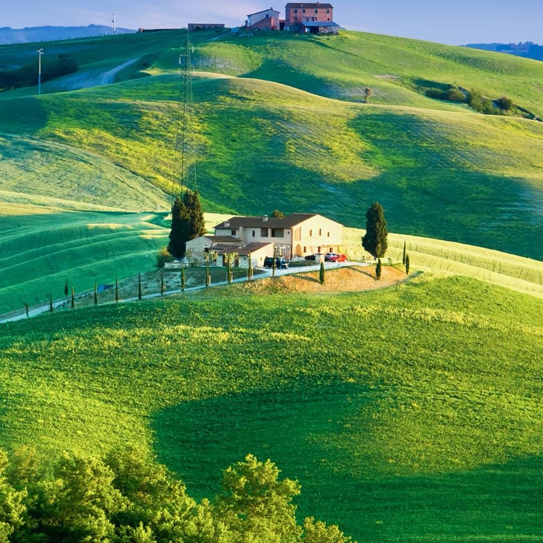 顺其自然（好物在橱窗）