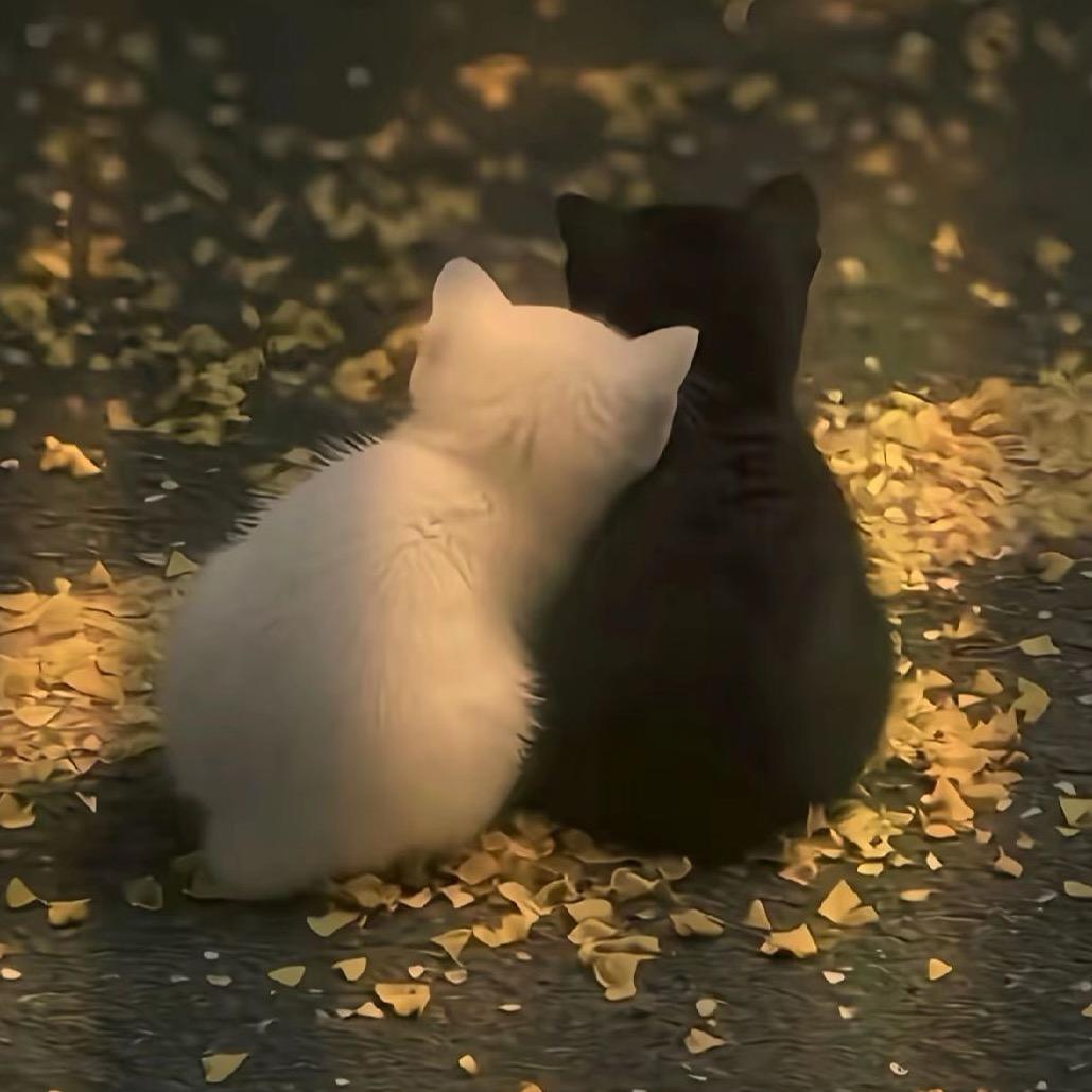小小