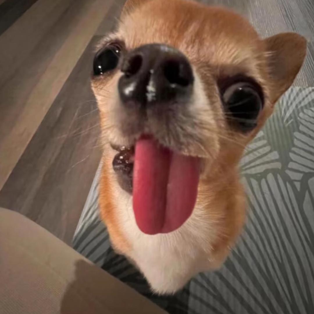 亲爱的oio