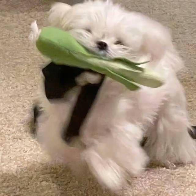 天蓝.