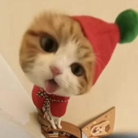 潘安.
