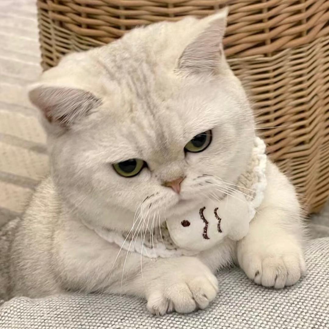 猩优选
