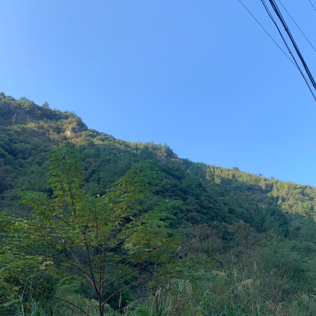 隔壁老王