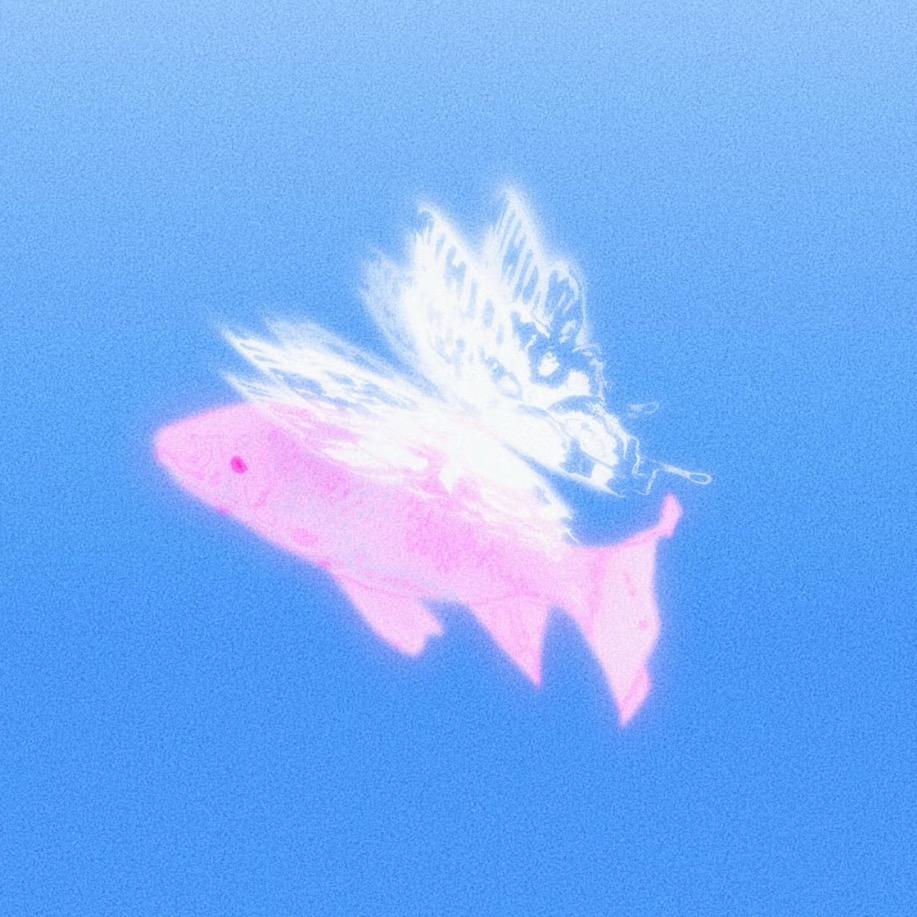 Katherine（热爱干饭版）