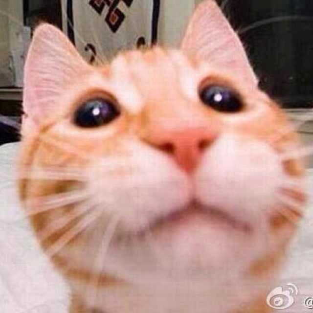 蛟头辣娥