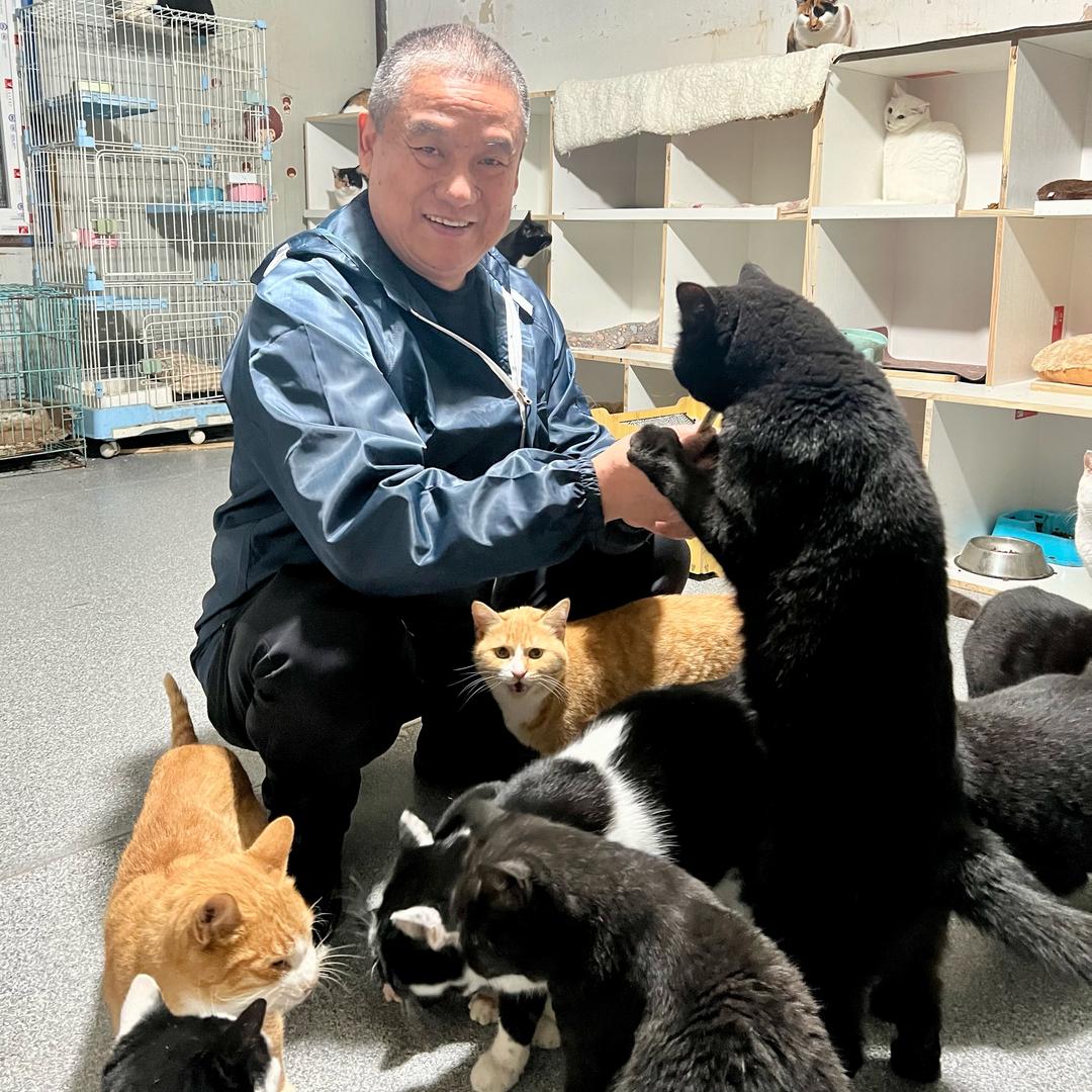 60只猫咪的爷爷