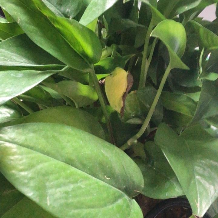 荣清水产品