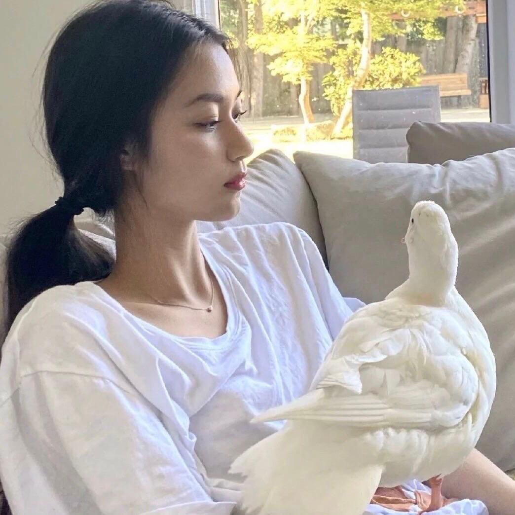 一只阿吖吖！的头像