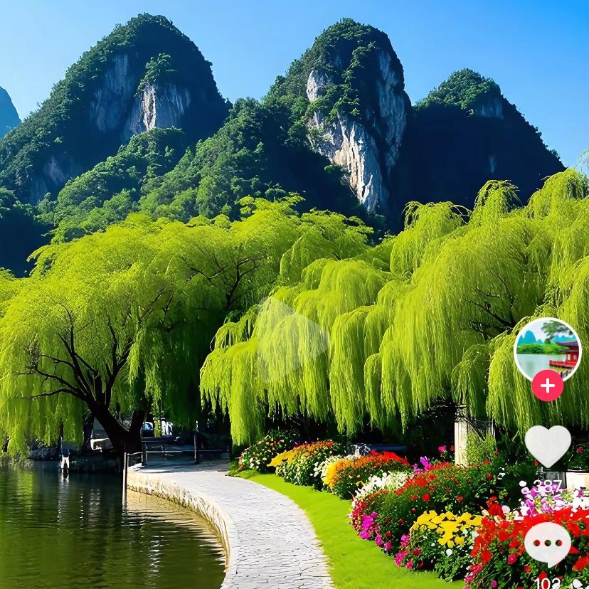 心有阳光1