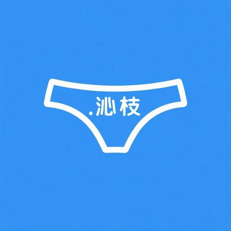 沁枝内衣裤国际仓