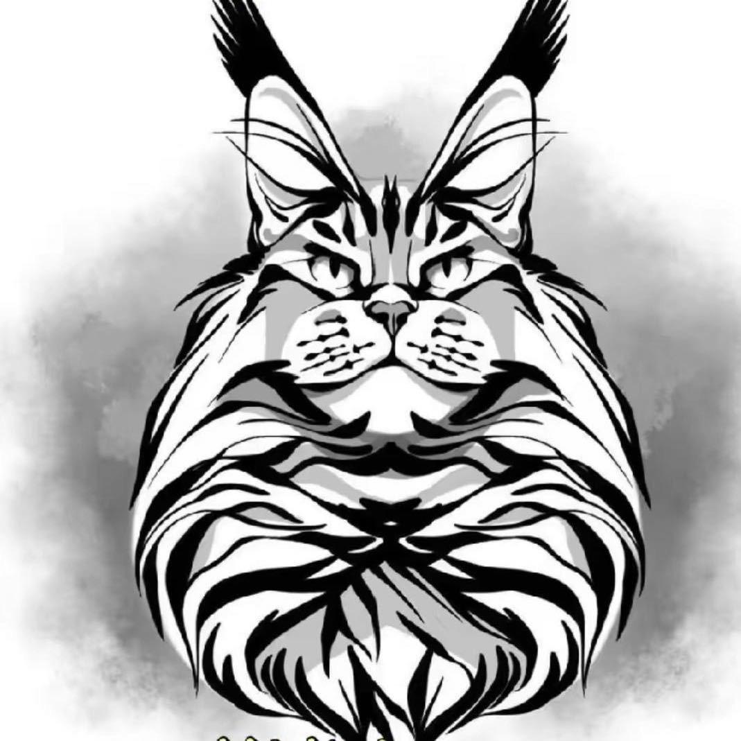 🐱百顺缅因🐱