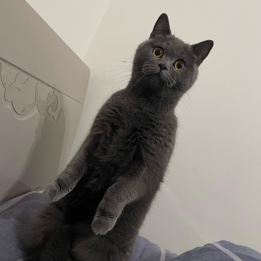 飘逸
