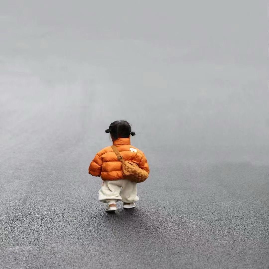 枯叶蝶💋