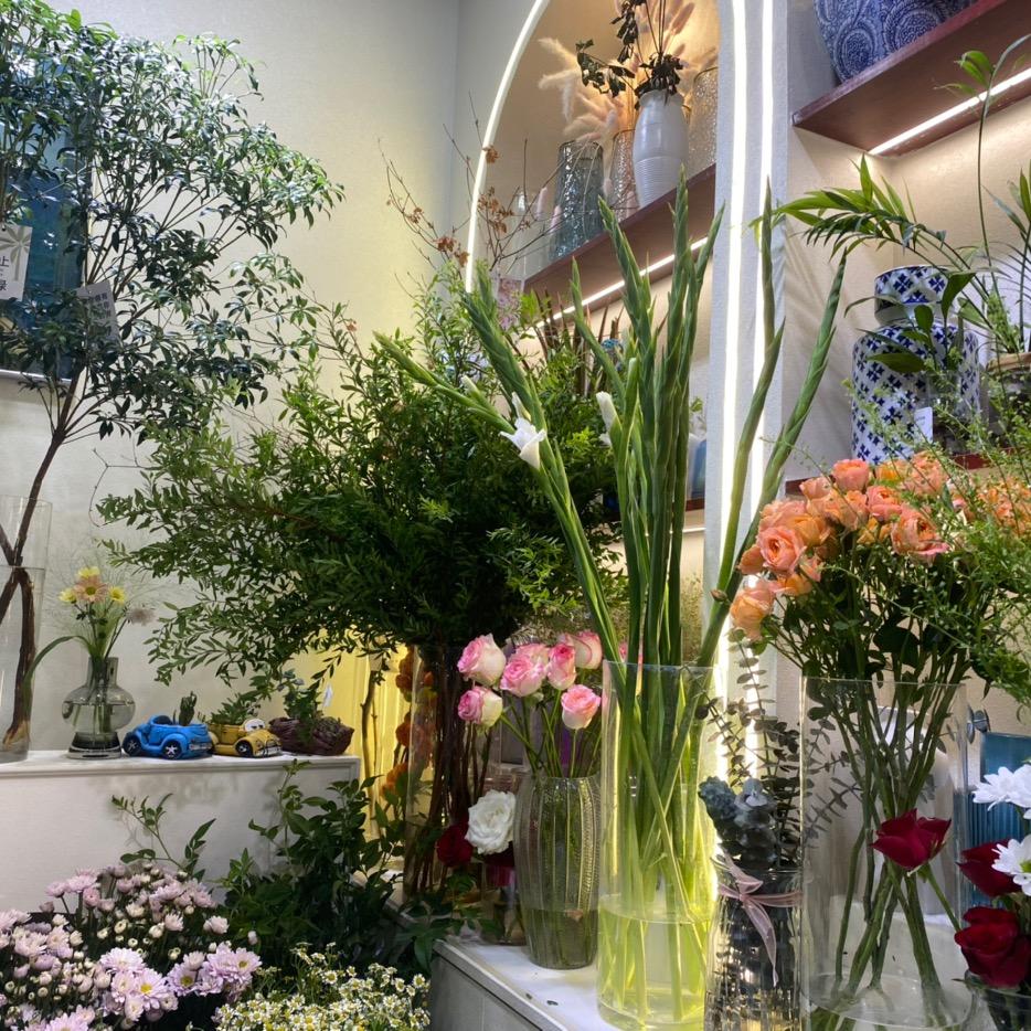 会包花会打气球的芳芳🥰