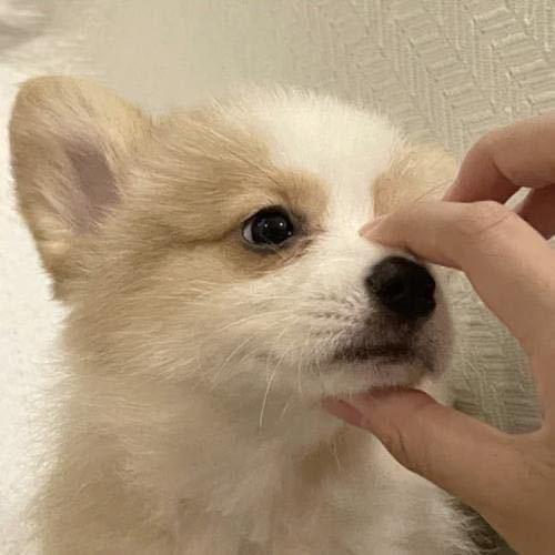 明天再开始