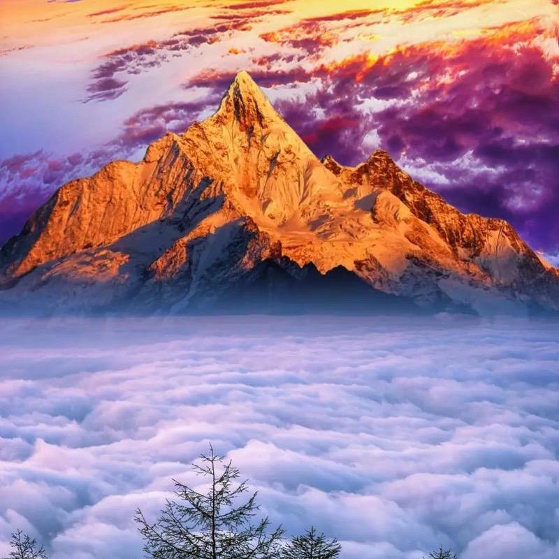 ☀️盛夏晴天🔥🍀