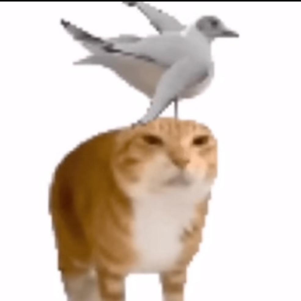 求放过  ʢᴗ.ᴗʡᶻ･֊･