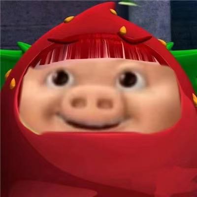 孬孬猪