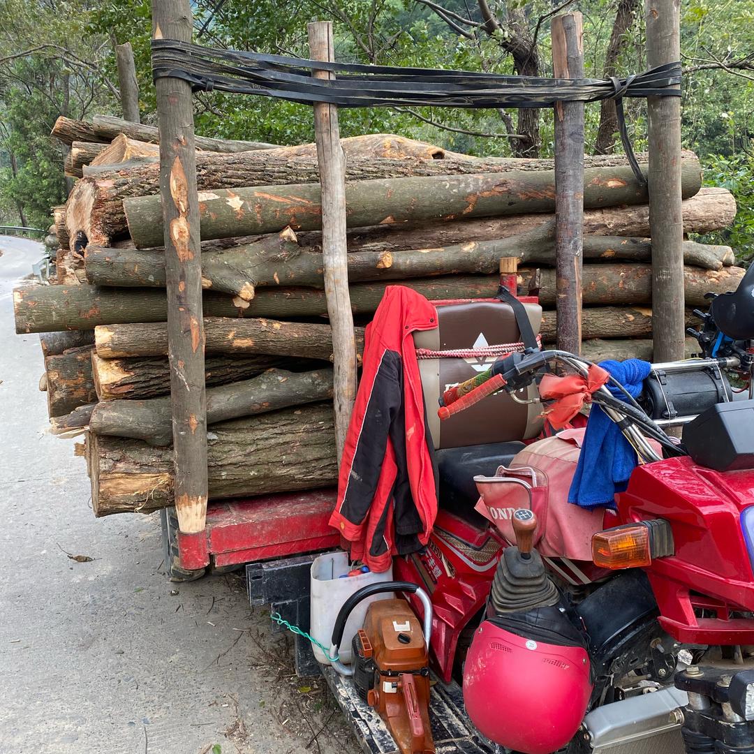 🔥热火🔥啊鬼🔥