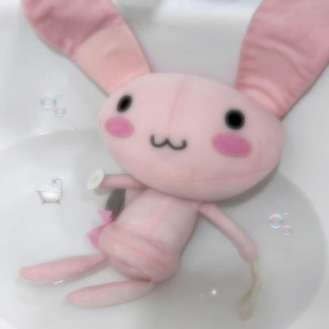 妮子