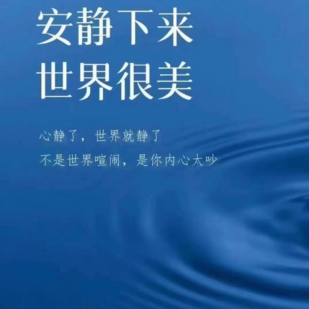 白桦林007