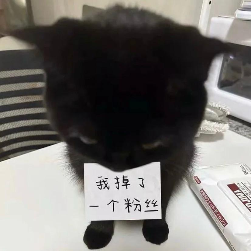 猕猴桃收集小猫大盗（打王者版）