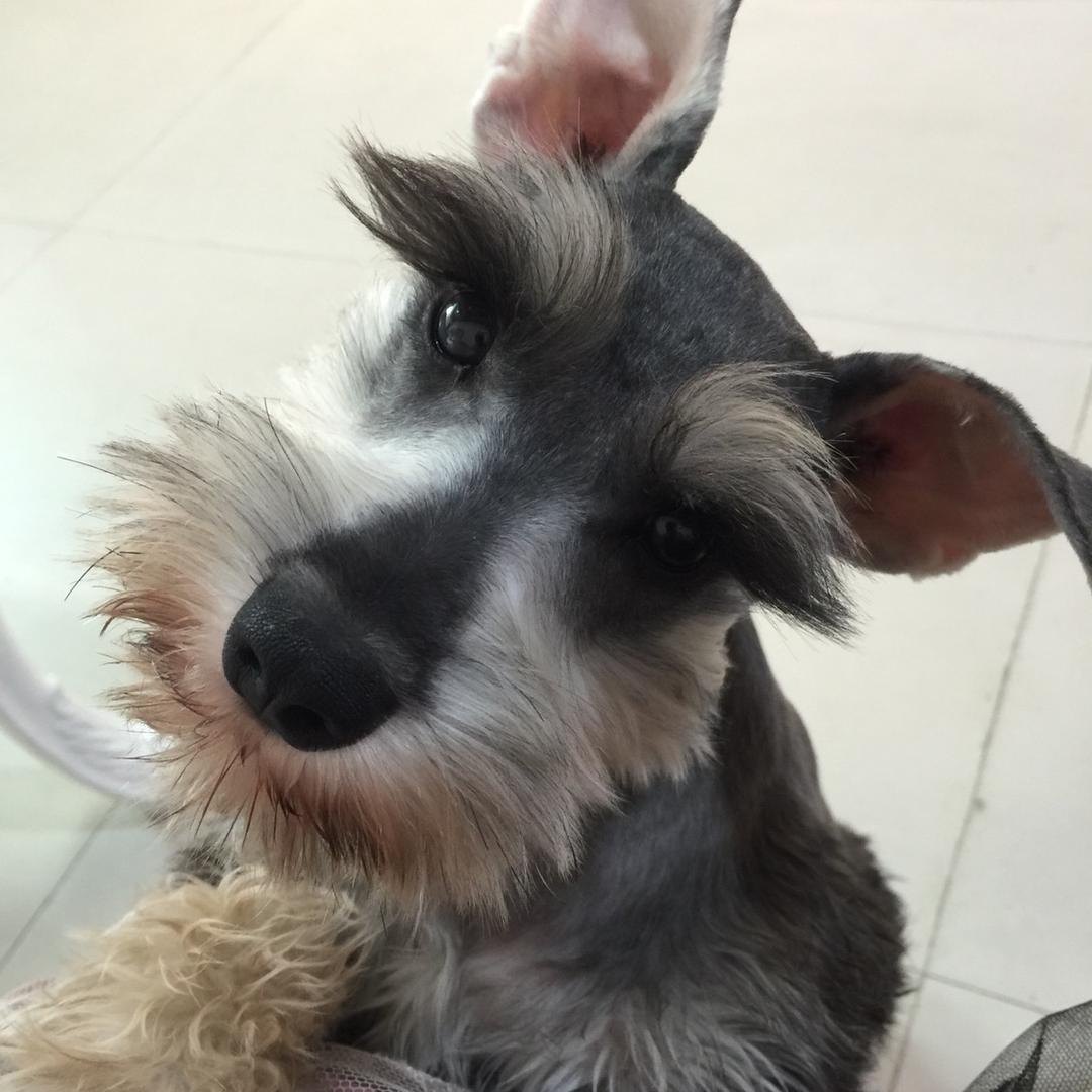 @宠物用品集合店💕