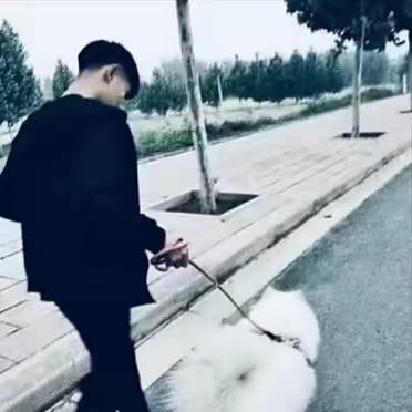 八弟⚜️