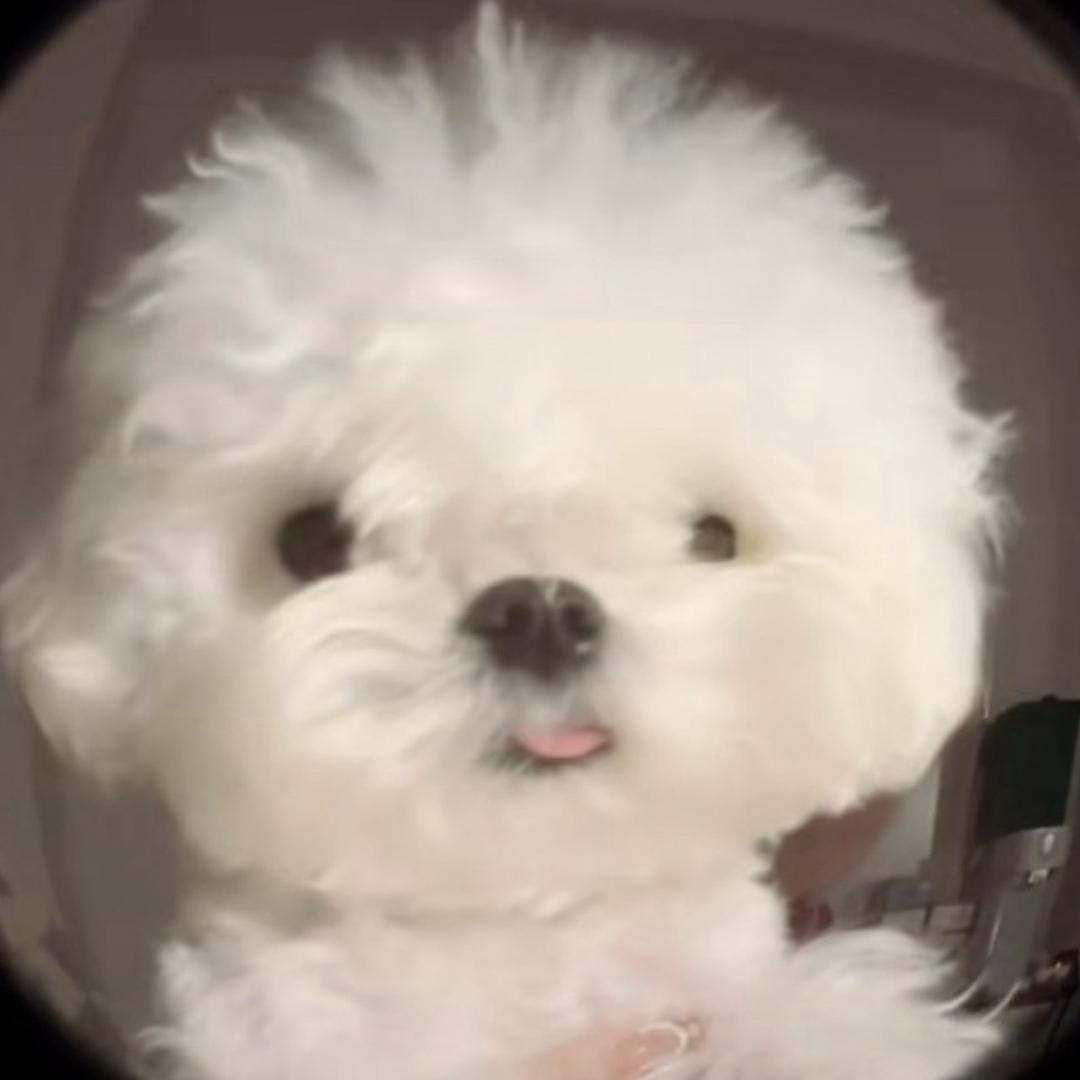 小虾滑
