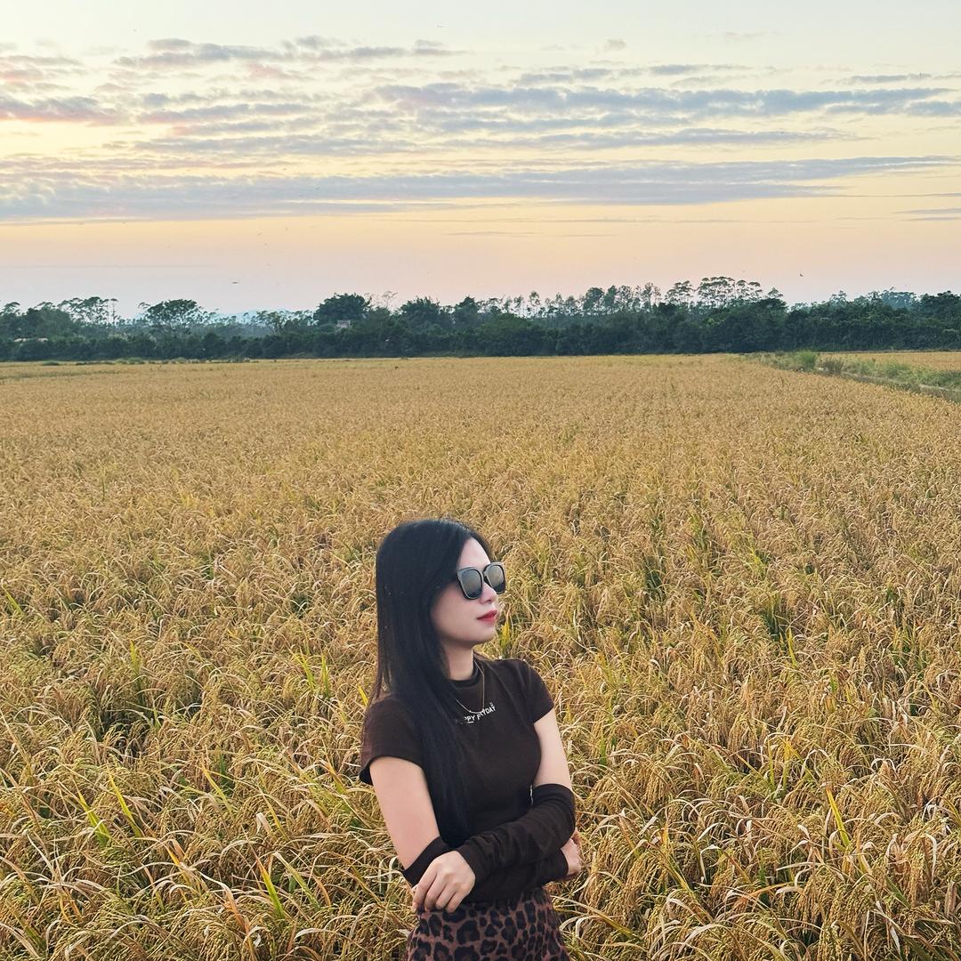 谷粒乡下好米严选