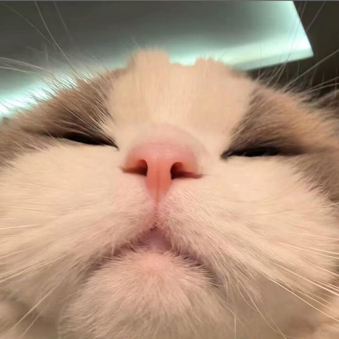 为何分手带锅走