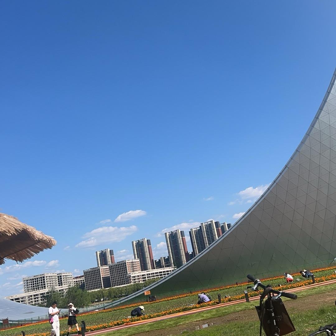 今天你心情愉快吗