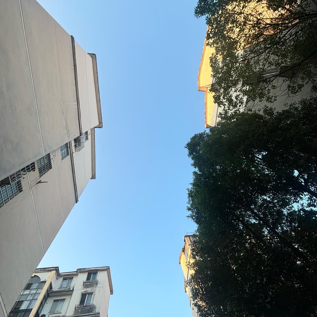 开悟甄选