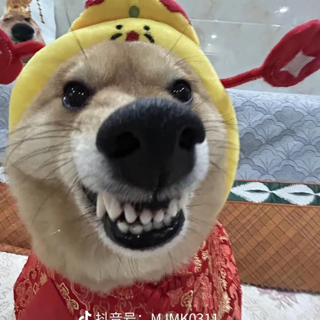 姆巴