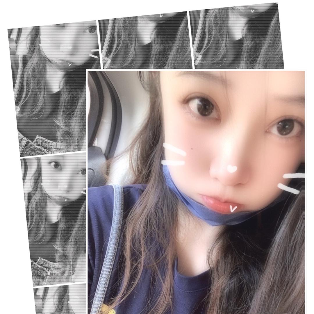 海边的向日葵🌻