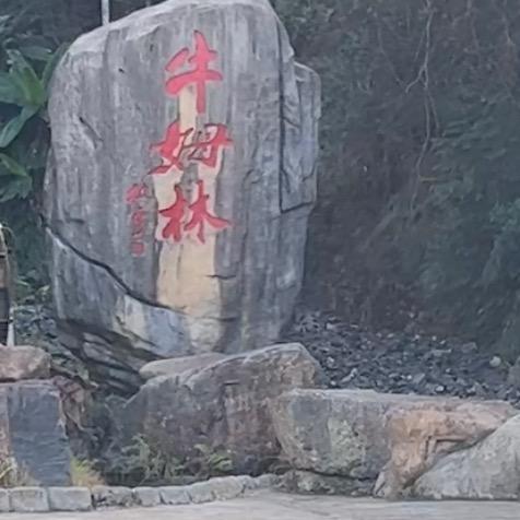 用户明天会更好