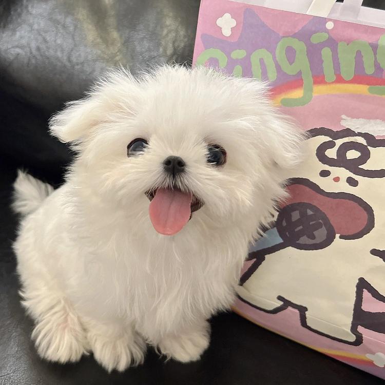诶