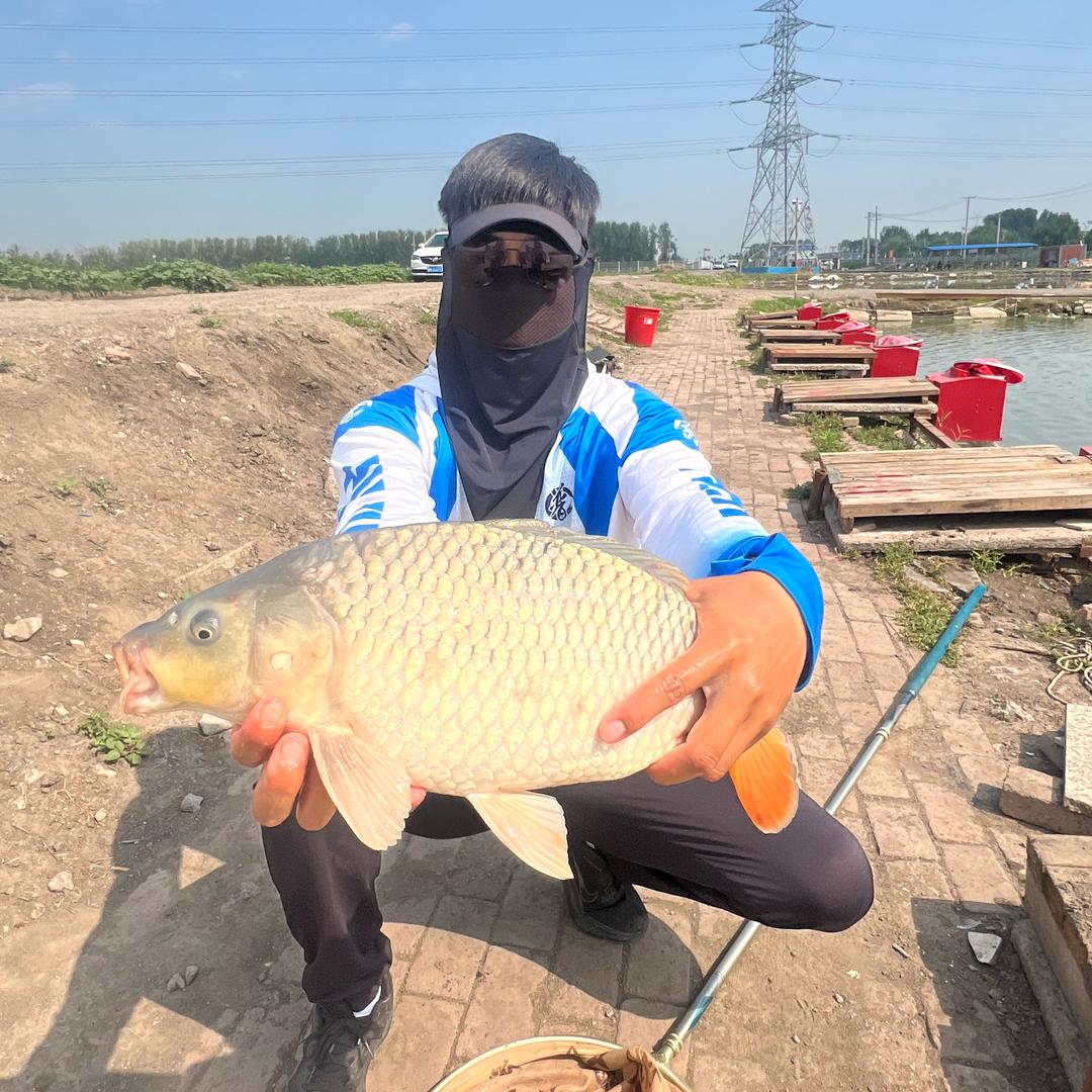 普家🎣杨大旭