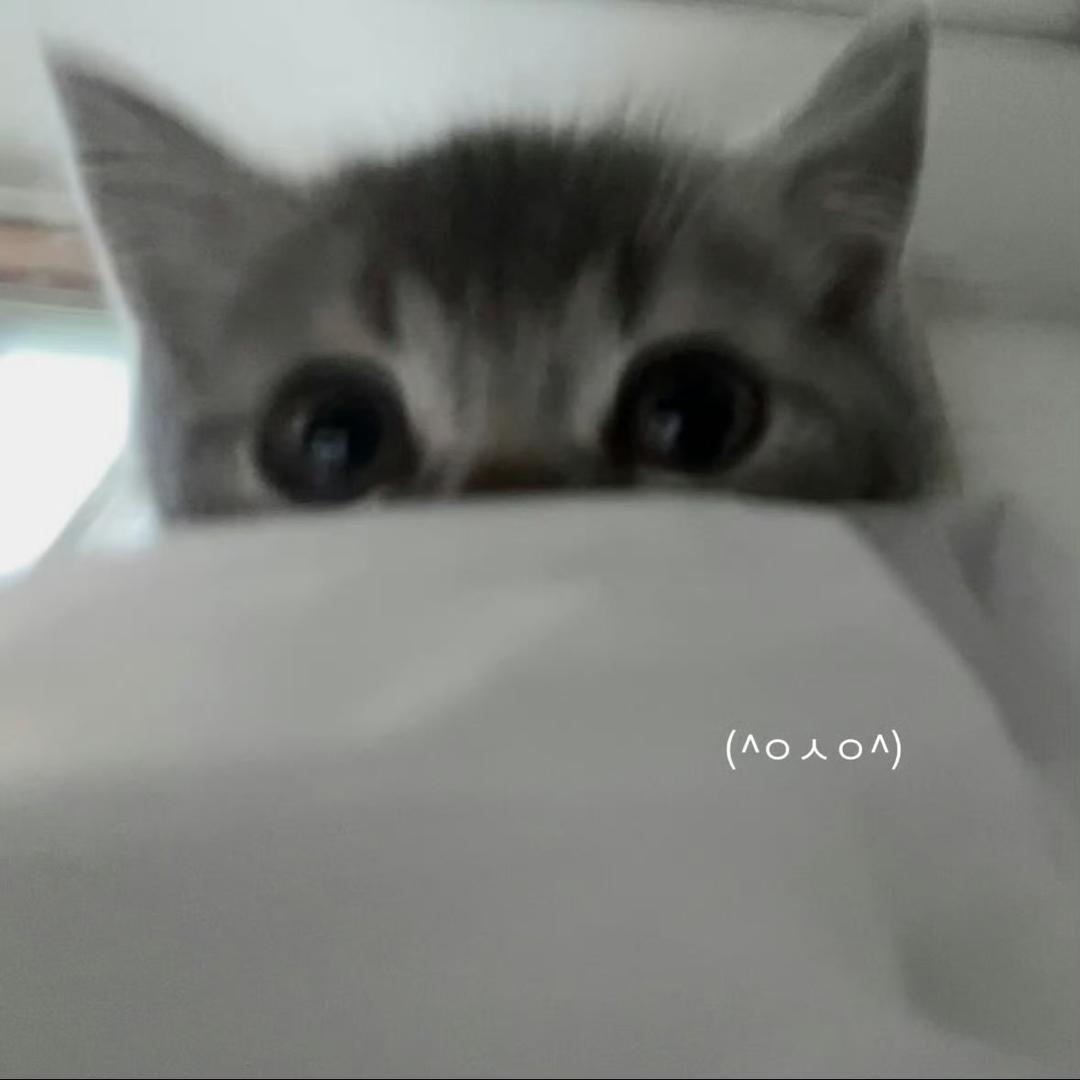 yuuu（见过易烊千玺版）